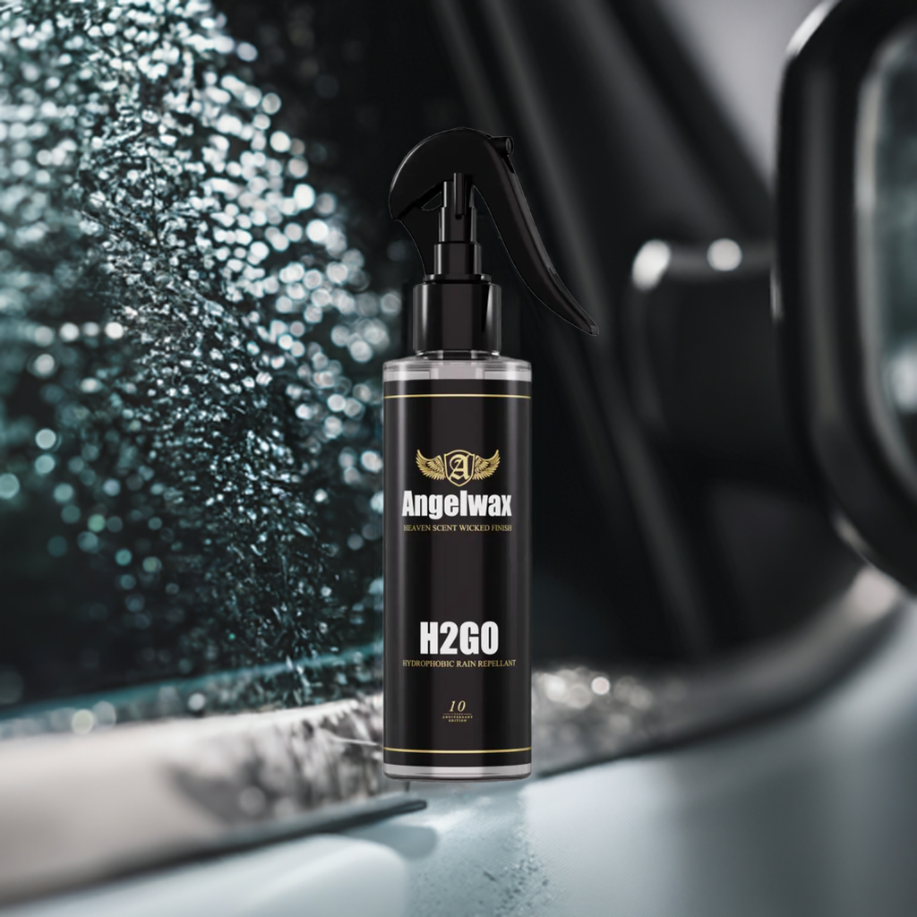 H20GO 100ml