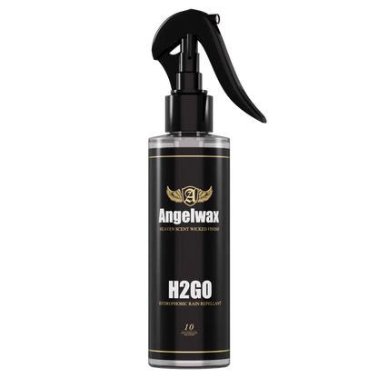 H20GO 100ml